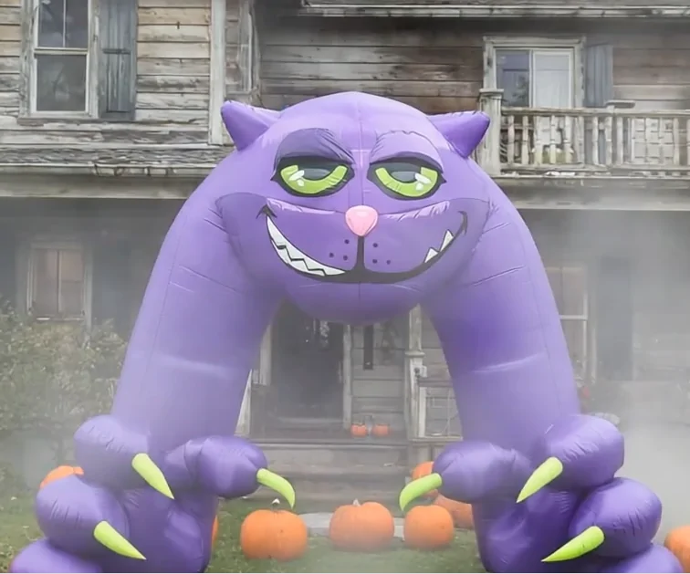 Product Video Thumbnail